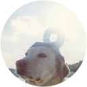 山本優生 profile picture